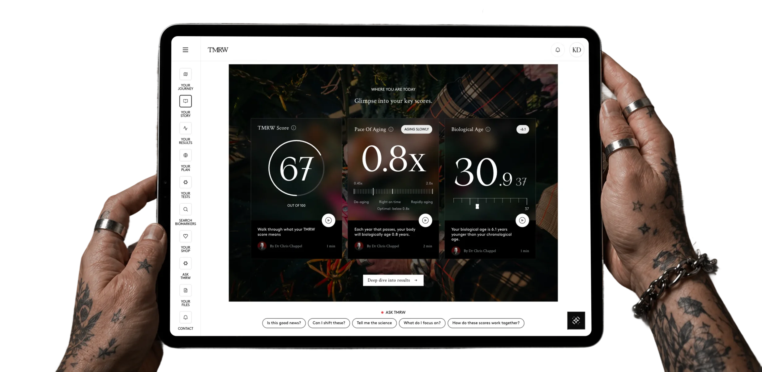 TMRW dashboard preview — A comprehensive picture of your health